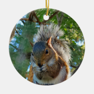 Squirrel Ceramic Tree Decoration