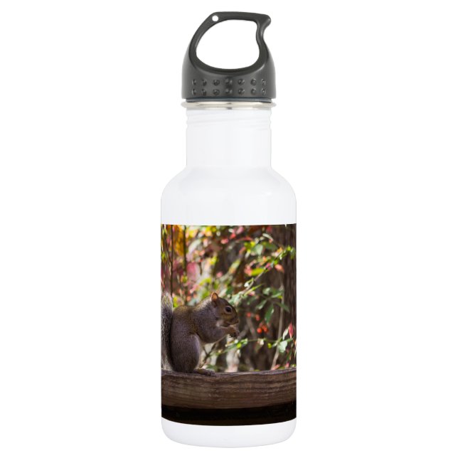 Squirrel Chow Time 532 Ml Water Bottle (Front)