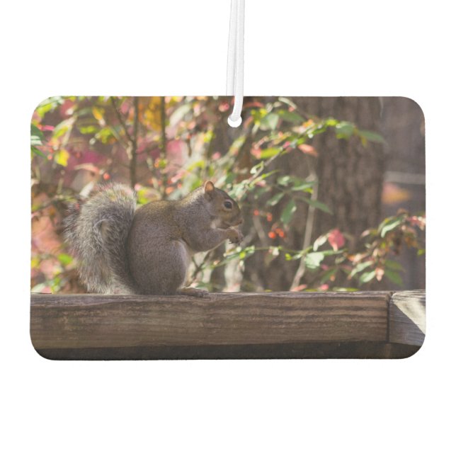 Squirrel Chow Time Car Air Freshener (Back)