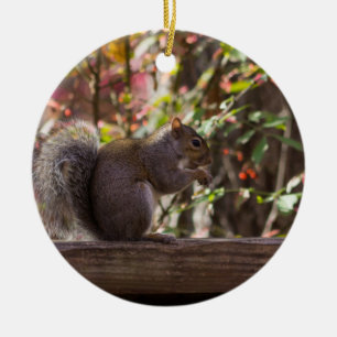 Squirrel Chow Time Ceramic Tree Decoration