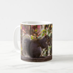 Squirrel Chow Time Coffee Mug