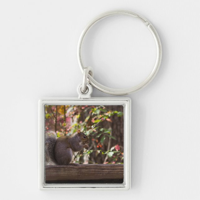 Squirrel Chow Time Key Ring (Front)