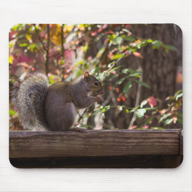 Squirrel Chow Time Mouse Mat (Front)