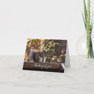 Squirrel Chow Time Thinking Of You Card