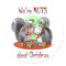 Squirrel Christmas Nuts