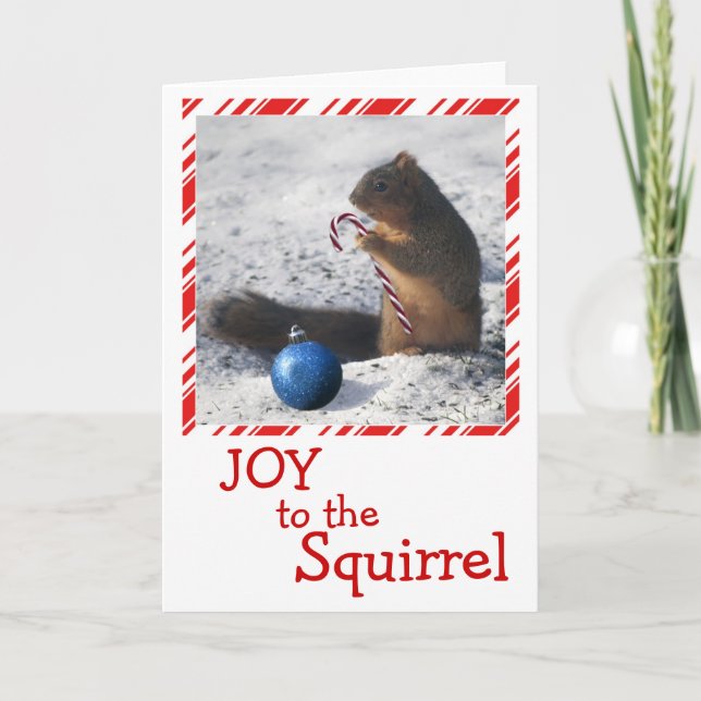 Squirrel Christmas ornament greeting card (Front)