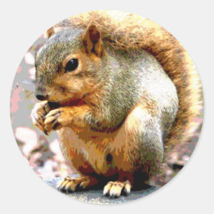 Squirrel Classic Round Sticker