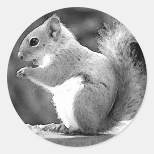 Squirrel Classic Round Sticker