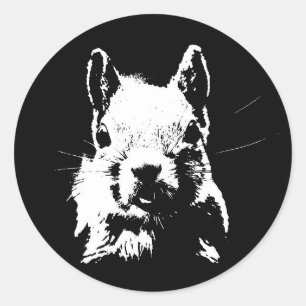 Squirrel Classic Round Sticker