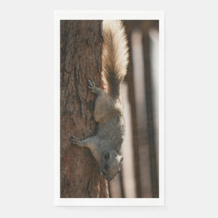 Squirrel Climbing Down Tree Kitchen Towel Napkin