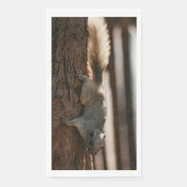 Squirrel Climbing Down Tree Kitchen Towel Napkin (Front)
