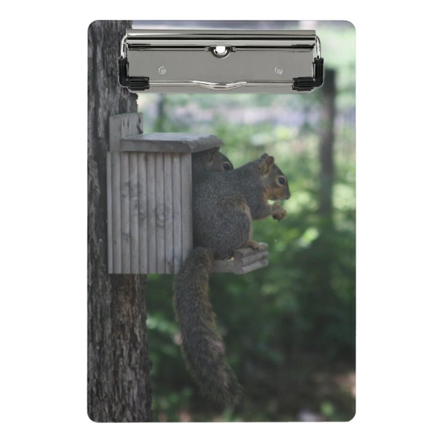 Squirrel Clipboard (Front)