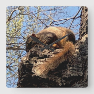 Squirrel Clock