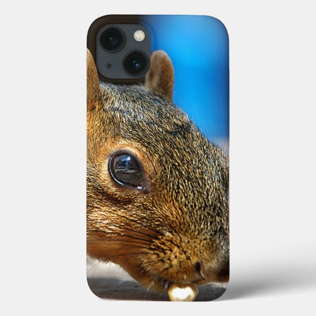 Squirrel Closeup Eating Case-Mate iPhone Case (Back)