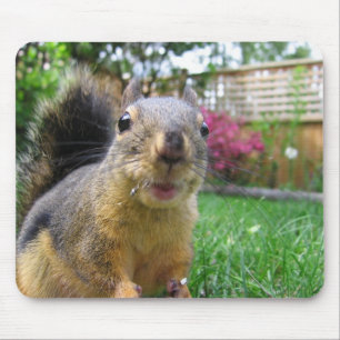 Squirrel Closeup Mouse Mat