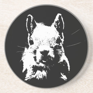Squirrel Coaster