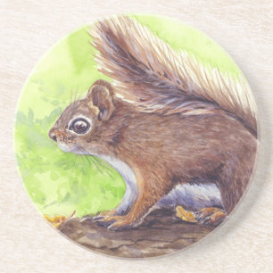 Squirrel Coaster