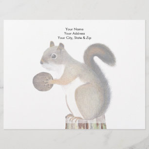 Squirrel Customized Letterhead