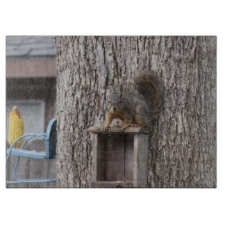 Squirrel Cutting Board
