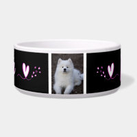 Squirrel, dog bowl, cat, c animal