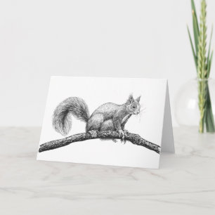 Squirrel drawing card
