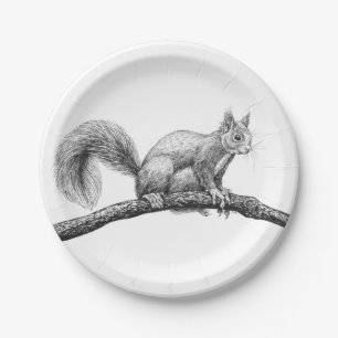 Squirrel drawing paper plate