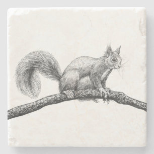 Squirrel drawing stone coaster