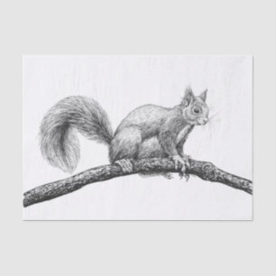 Squirrel drawing tissue paper