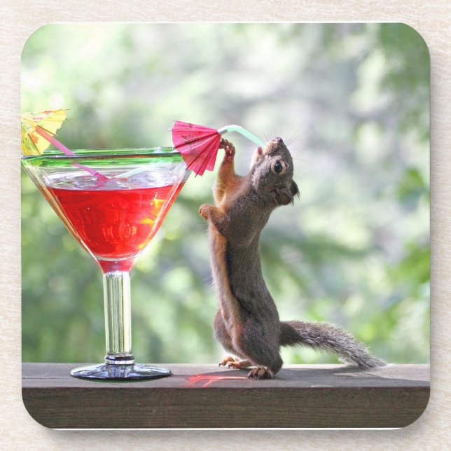 Squirrel Drinking a Cocktail at Happy Hour Coaster (Front)