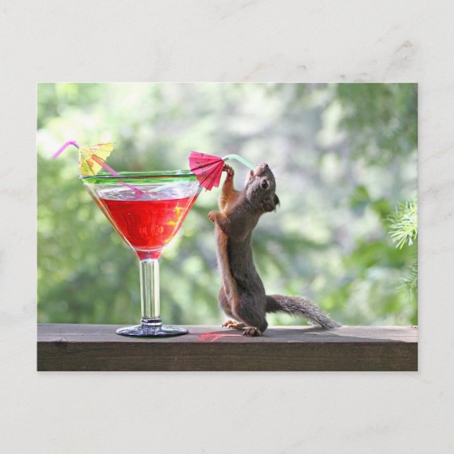 Squirrel Drinking a Cocktail at Happy Hour Postcard (Front)