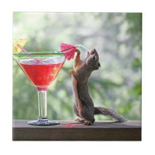 Squirrel Drinking a Cocktail at Happy Hour Tile