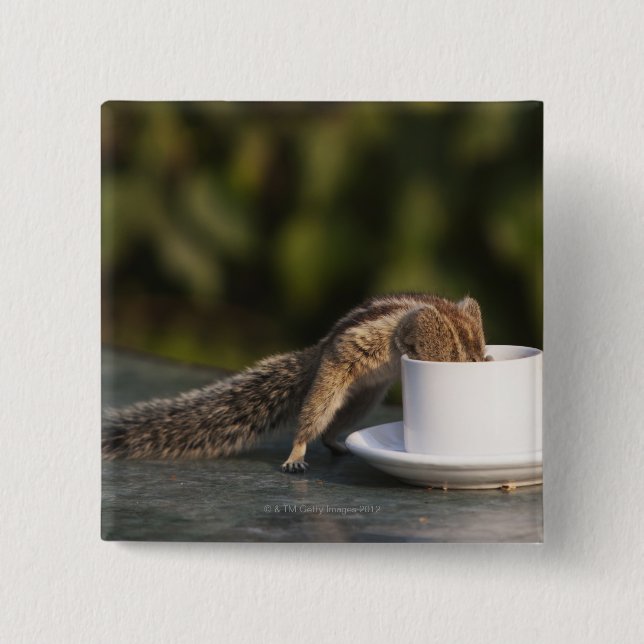 Squirrel drinking from coffee cup at Indian 15 Cm Square Badge (Front)