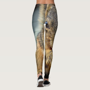 Squirrel Eating 1 Leggings