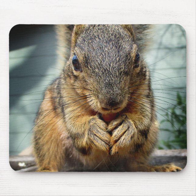 Squirrel Eating 1 Mouse Mat (Front)