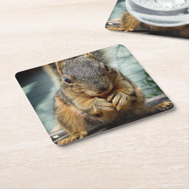 Squirrel Eating 1 Square Paper Coaster (Angled)