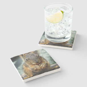 Squirrel Eating 1 Stone Coaster