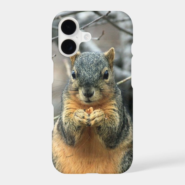 Squirrel Eating a Nut (Back)