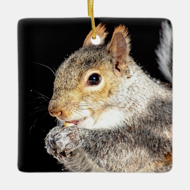 Squirrel eating a nut ceramic ornament (Front)