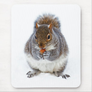 Squirrel Eating a Nut Cute Winter Photo Mouse Mat