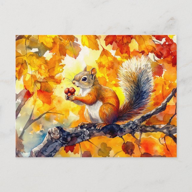 Squirrel eating a nut in a colourful autumn tree w postcard (Front)