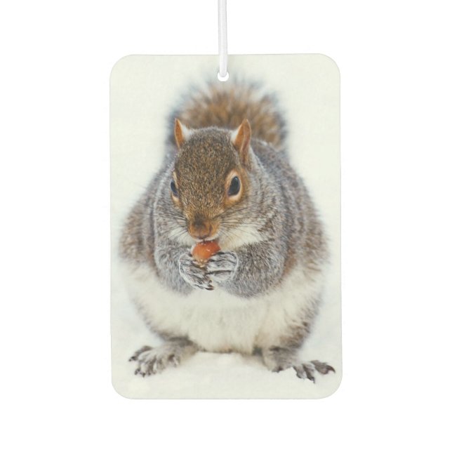 Squirrel Eating a Nut in Winter Snow Car Air Freshener (Front)