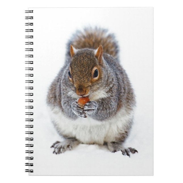 Squirrel Eating a Nut in Winter Snow Notebook (Front)