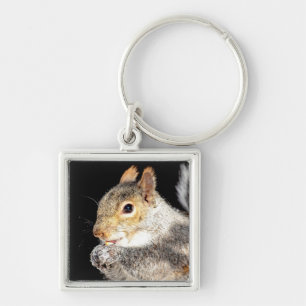 Squirrel eating a nut key ring