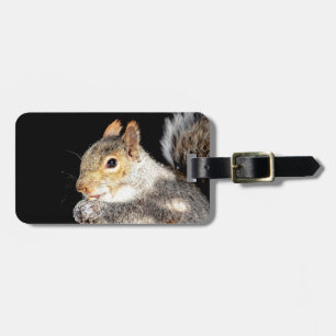 Squirrel eating a nut luggage tag