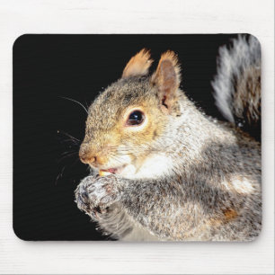 Squirrel eating a nut mouse mat