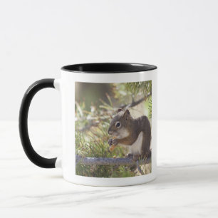 Squirrel eating a pine cone 2 mug