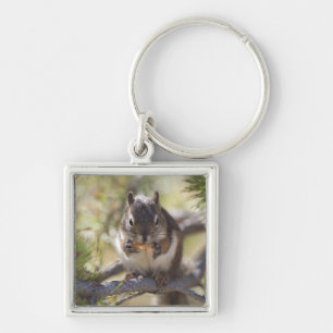 Squirrel eating a pine cone key ring