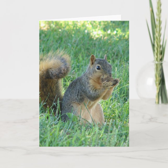 Squirrel Eating Acorns Card (Front)