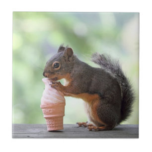 Squirrel Eating an Ice Cream Cone Tile