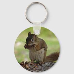 Squirrel eating Cone Key Ring